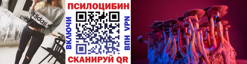 Псилоцибиновые грибы прущие грибы Опочка
